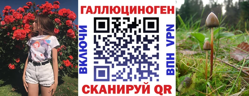цена наркотик Ставрополь Галлюциногенные грибы Psilocybine cubensis