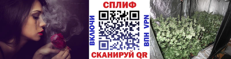 МАРИХУАНА планчик  MEGA   Ставрополь 